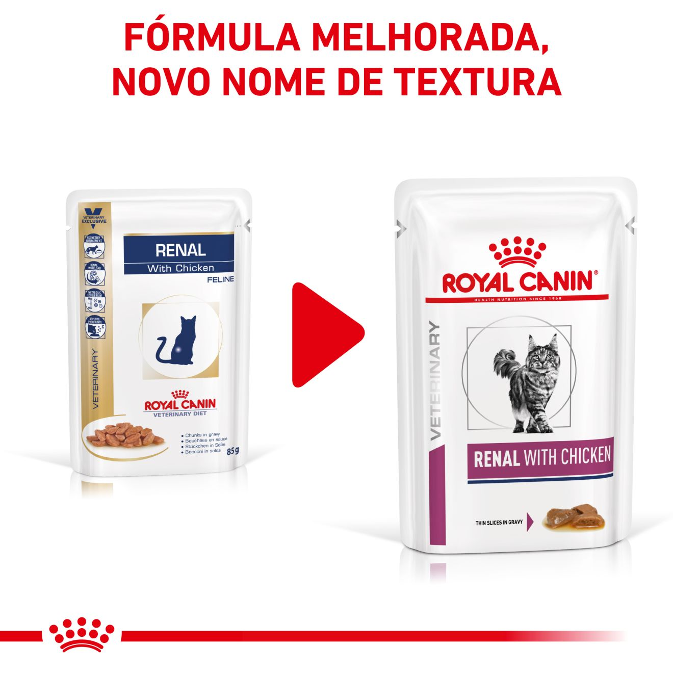 Renal with Chicken fatias finas com molho