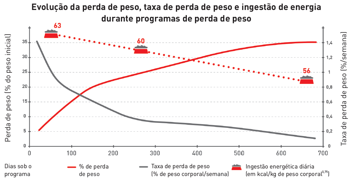 A perda de peso em cães é mais pronunciada nas primeiras 12 semanas 