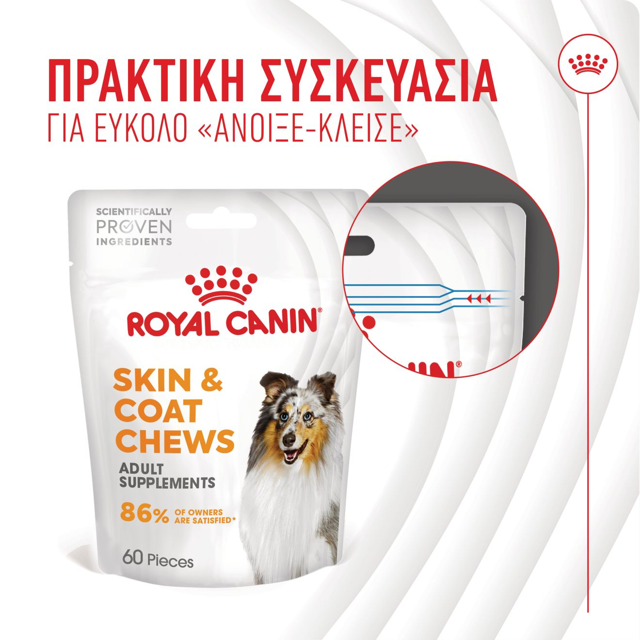 SKIN & COAT CHEWS