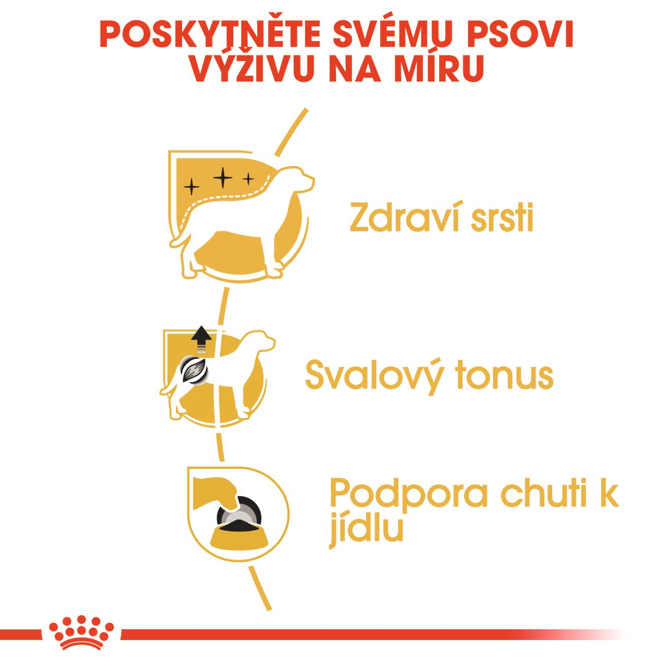 ROYAL CANIN Poodle Loaf kapsička s paštikou pro dospělé pudly