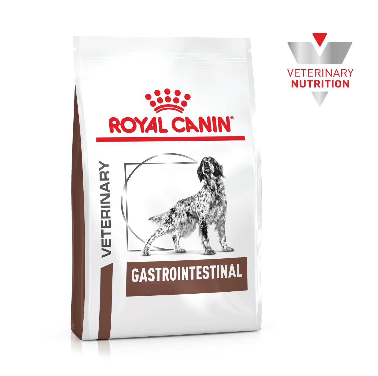 Gastrointestinal Perro
