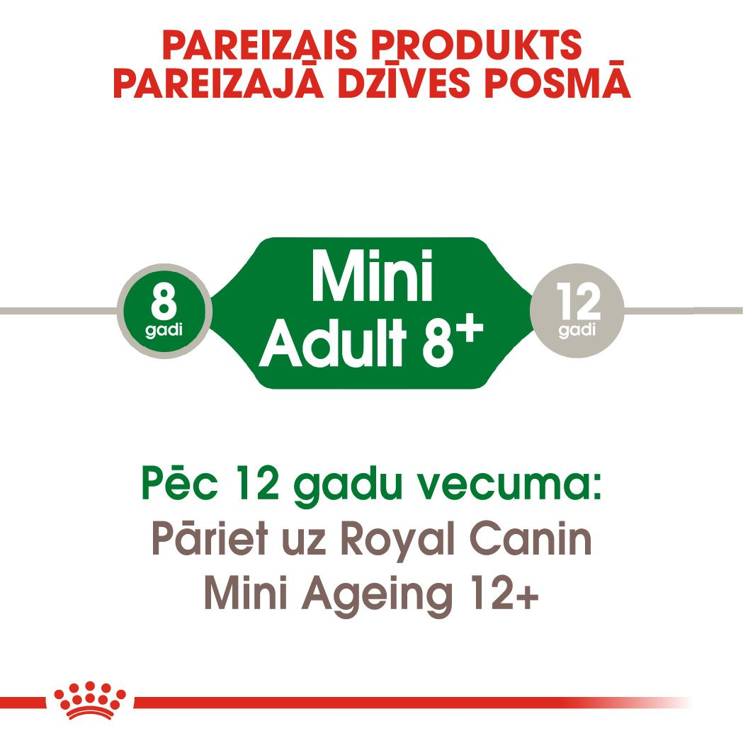 Mini Adult 8+