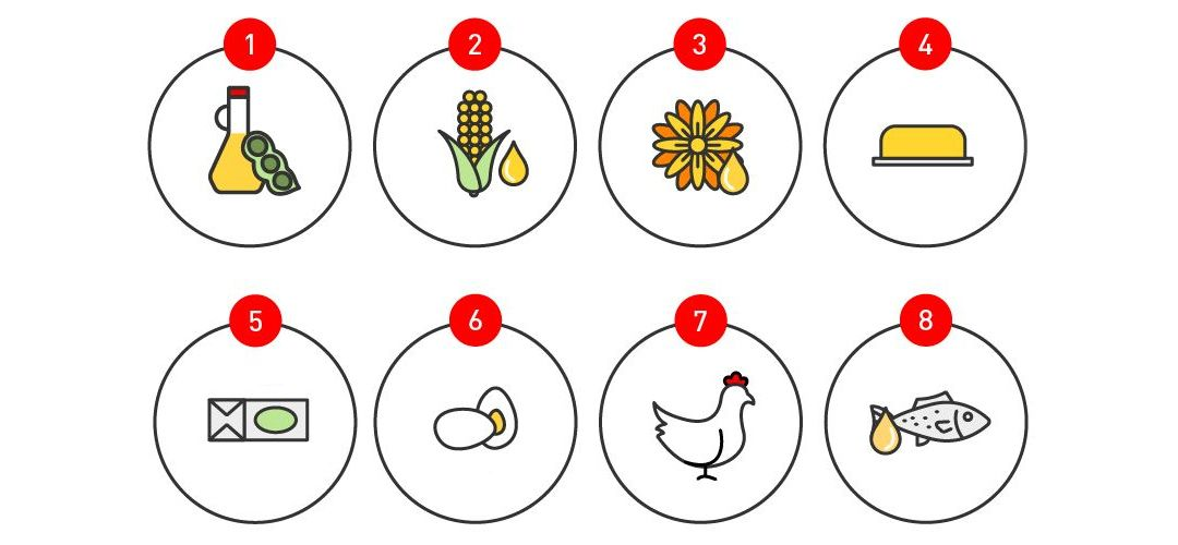 10 illustrations showing the sources of lipids