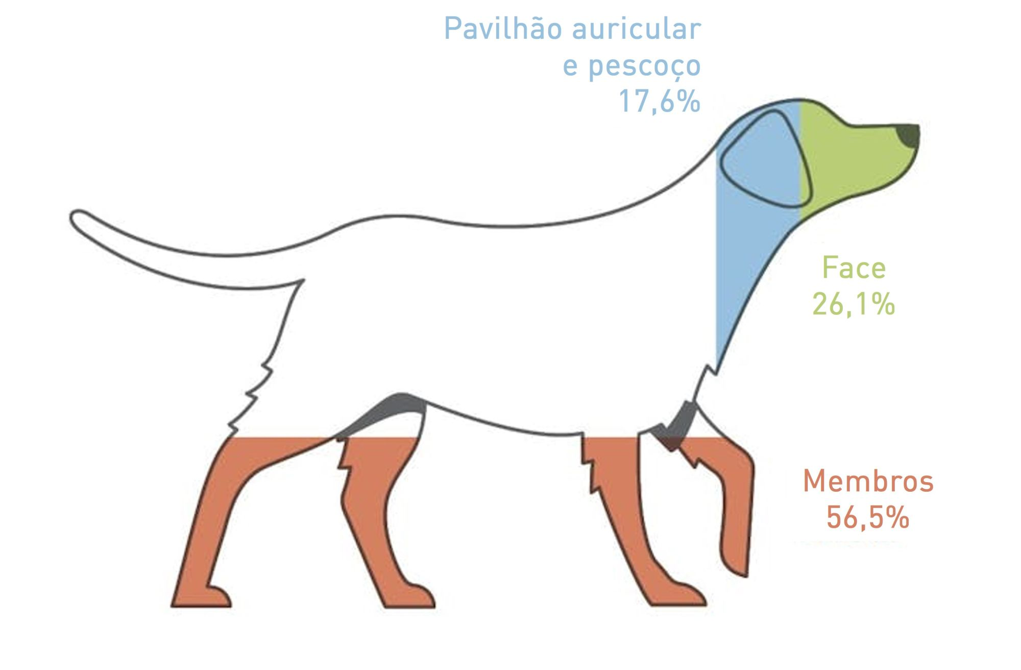 Distribuição das lesões cutâneas após desafio provocativo