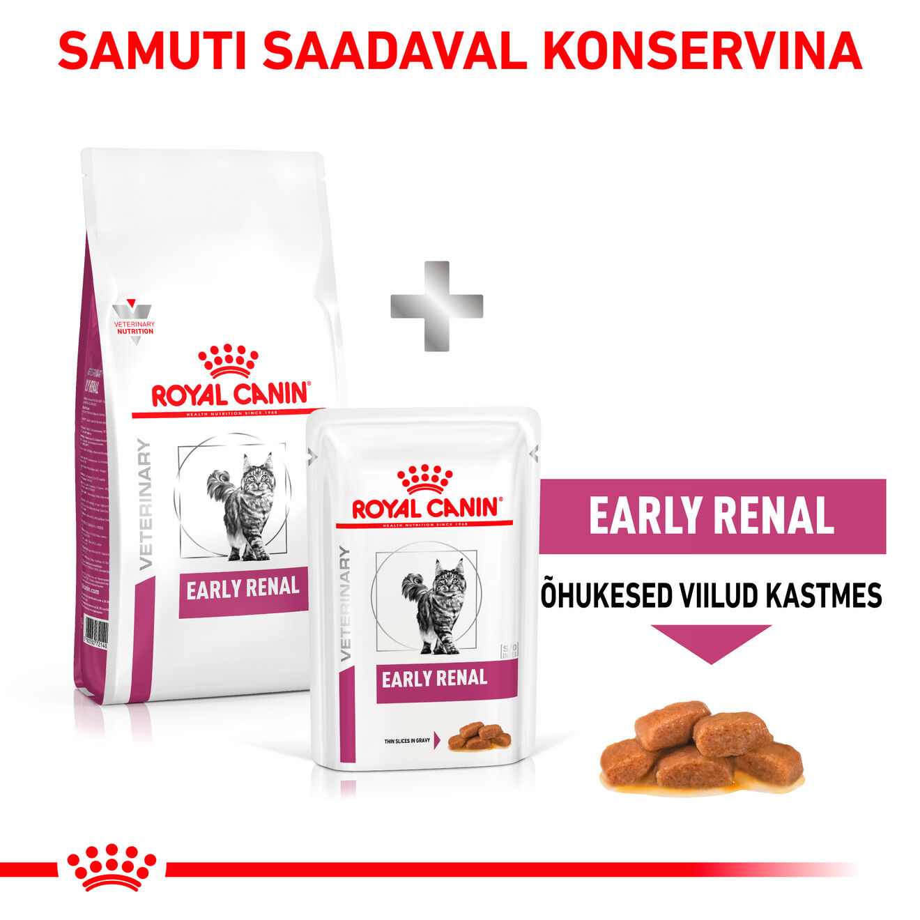 Royal Canin Early Renal Cat kuivtoit