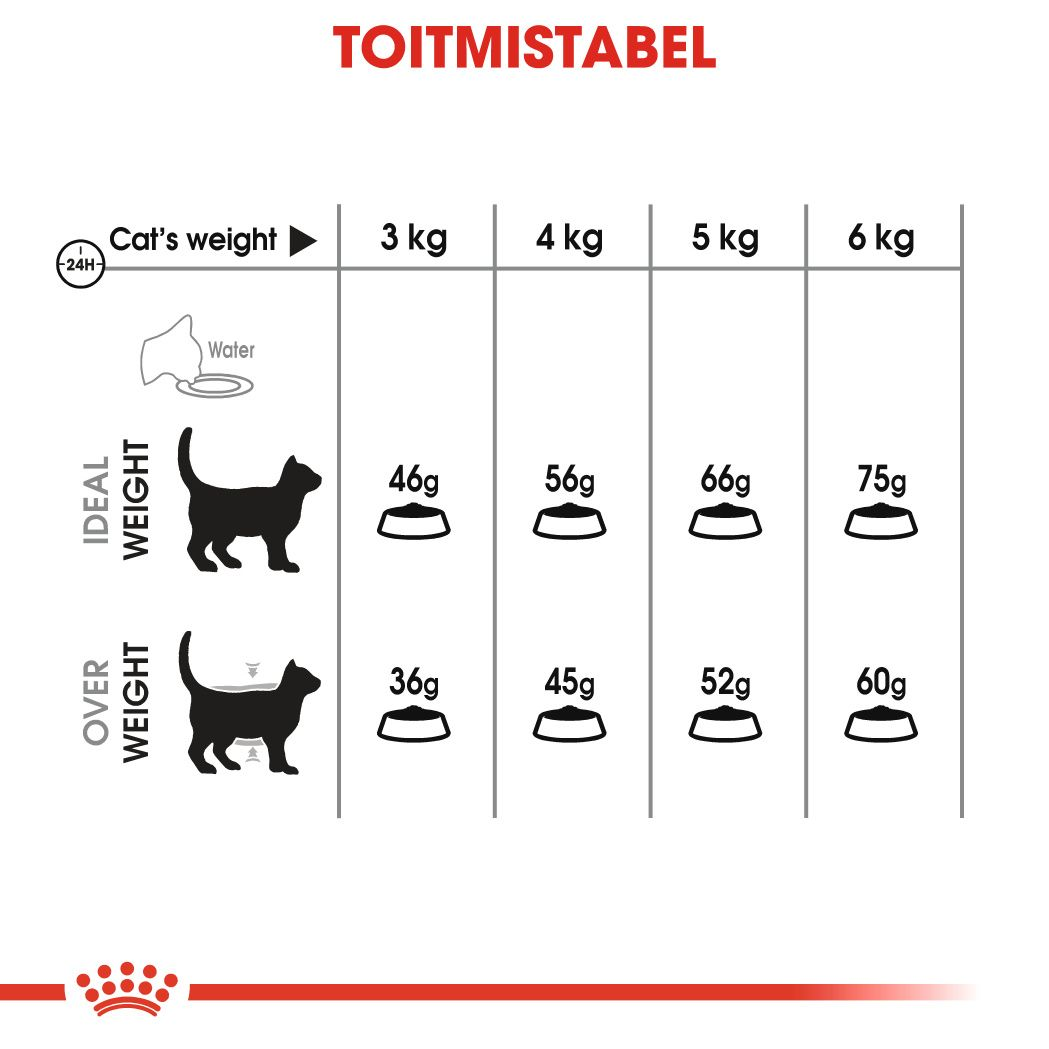 Royal Canin Oral Care kuivtoit