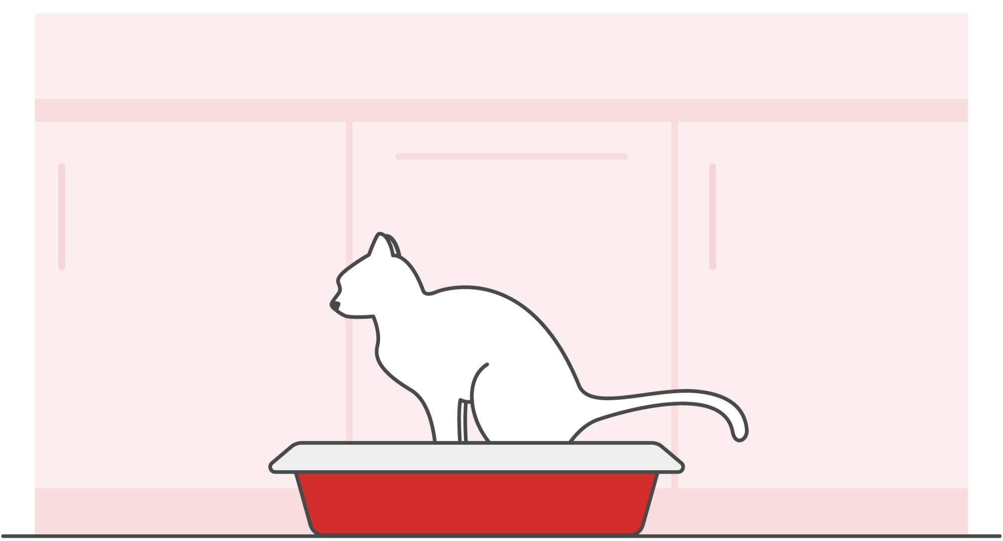 Illustration of a cat using a litter tray