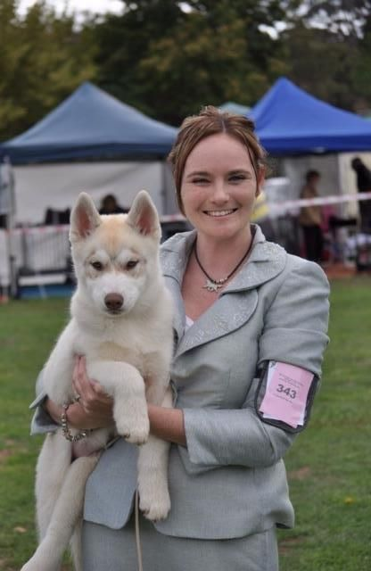 Eukanuba husky 2025