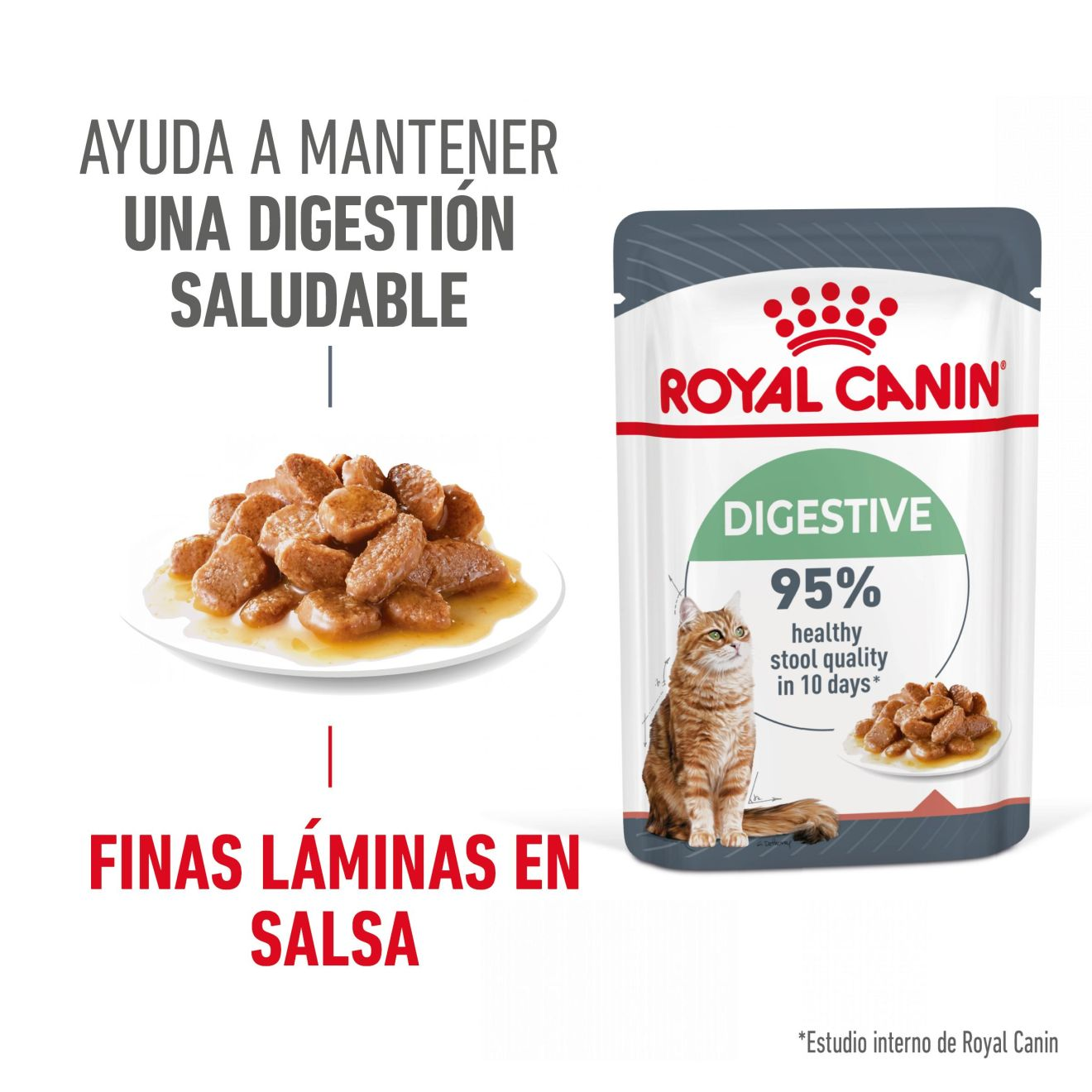 Digestive Care Finas láminas en salsa