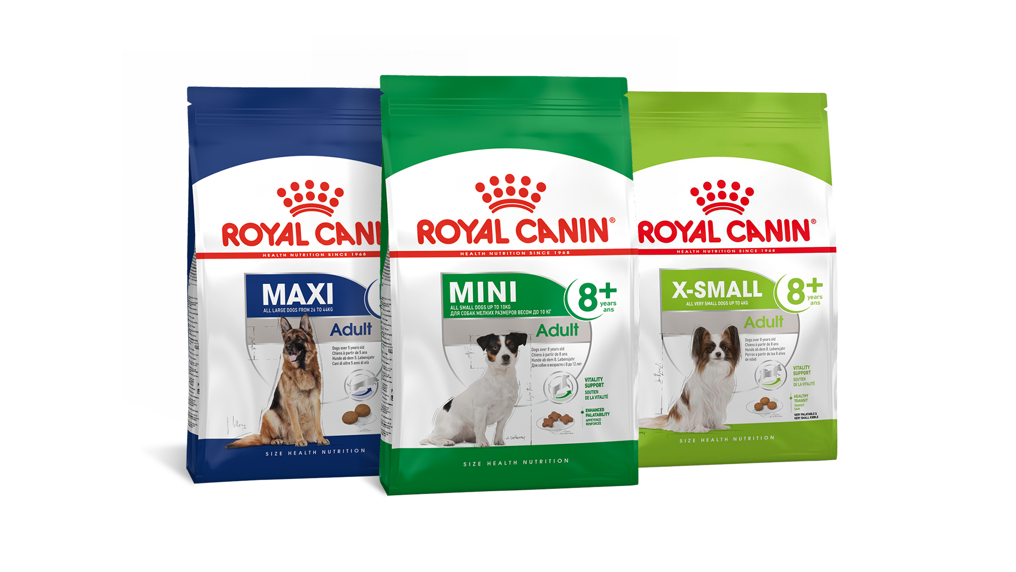 Корма для старых собак - корма для пожилых и стареющих собак | Royal Canin