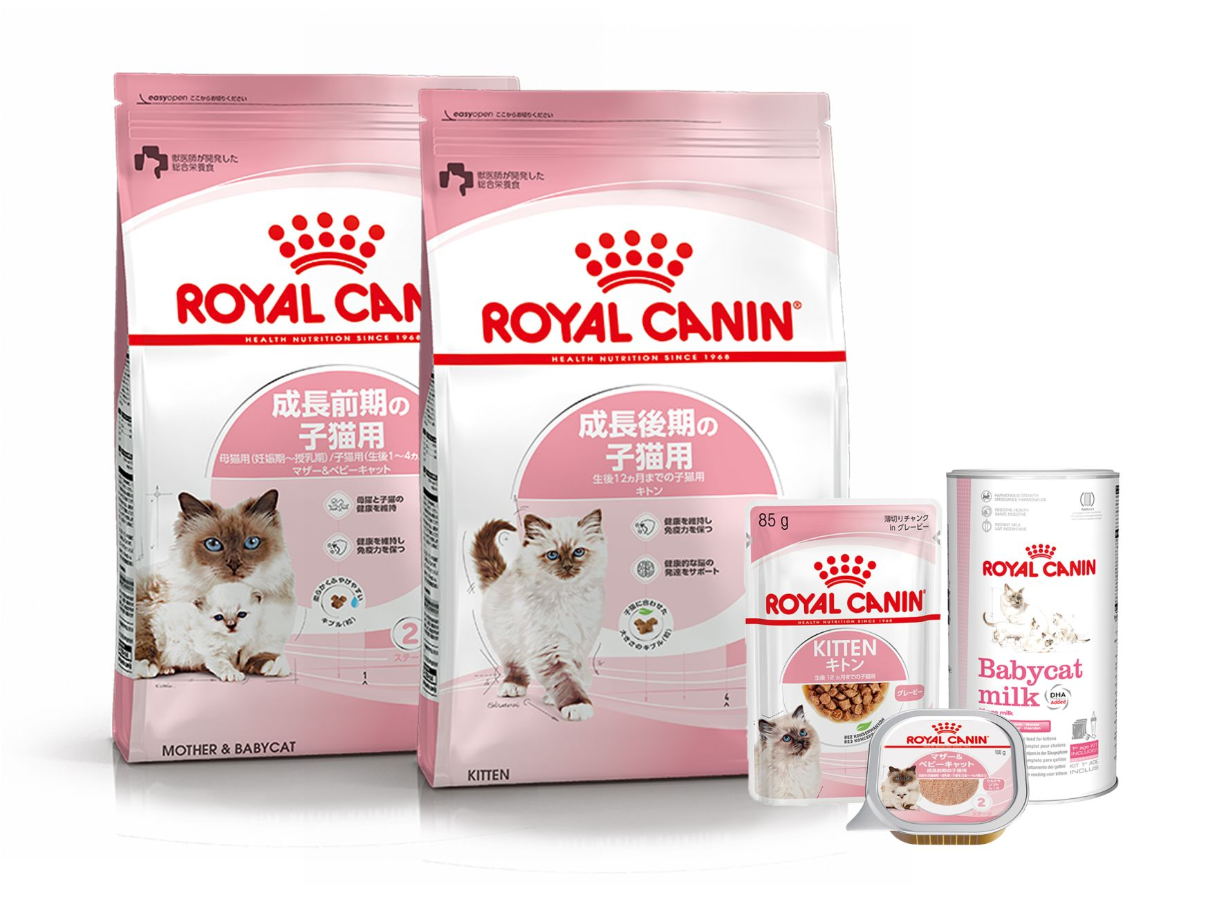 お待たせ! ロイヤルカナン他猫ご飯たくさん キャットフード