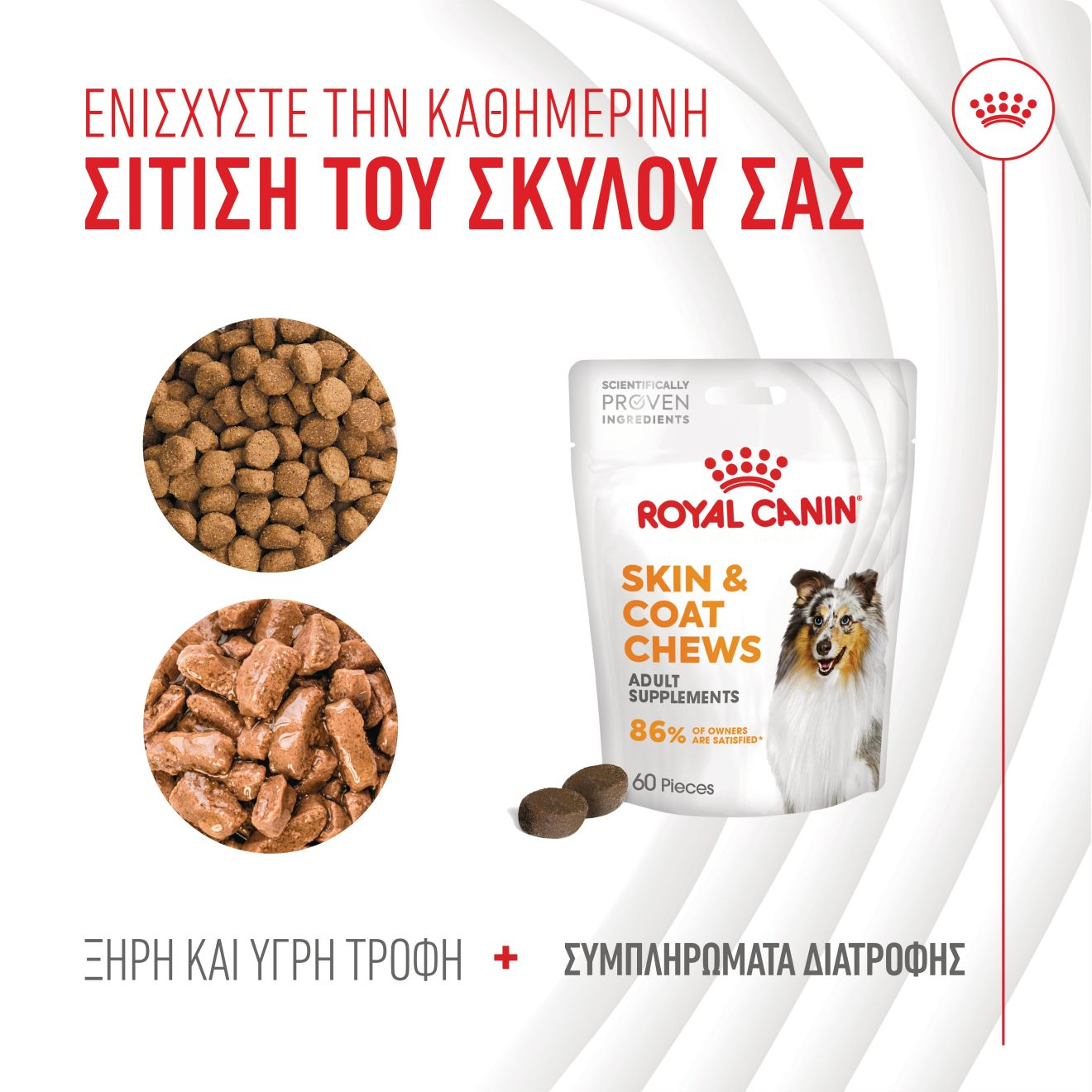 SKIN & COAT CHEWS