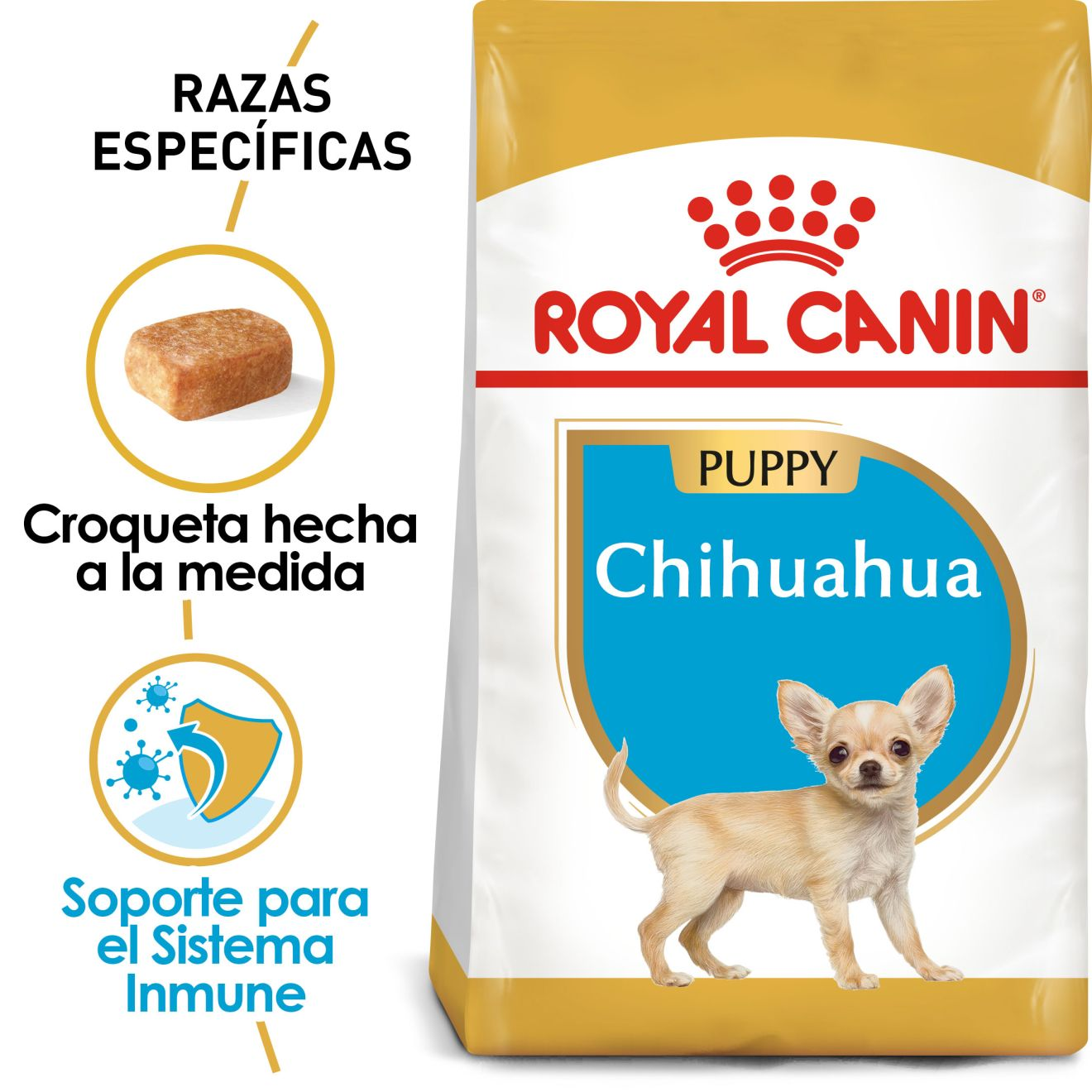 Chihuahua Cachorro