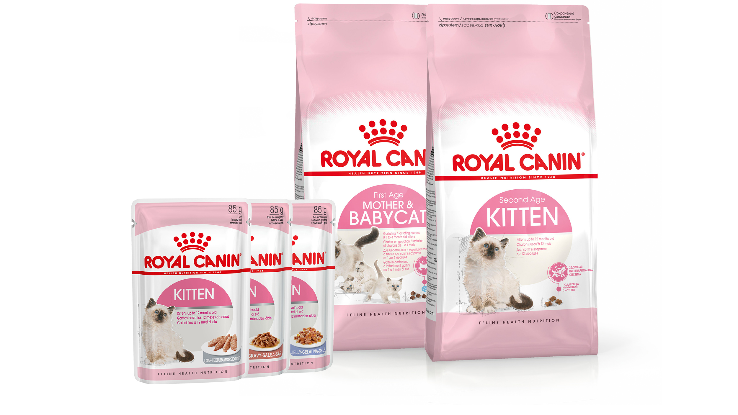 UK kitten range