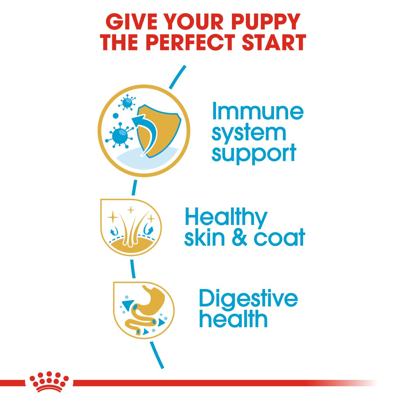 Royal canin golden retriever puppy feeding guide sale