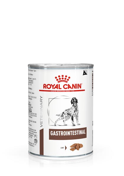 Gastrointestinal Can Wet Royal Canin