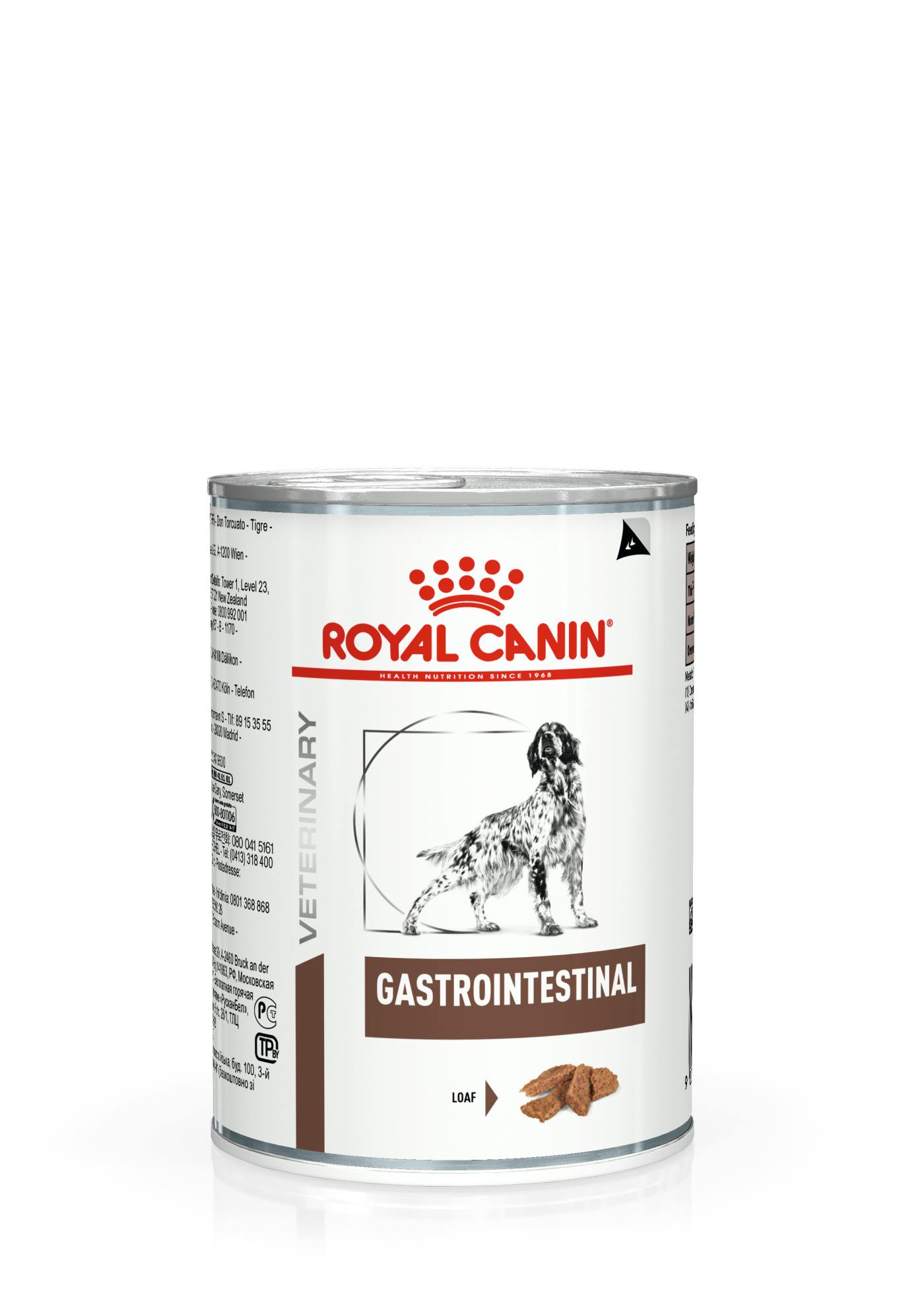 fame Nuclear For a day trip Gastrointestinal Can wet | Royal Canin