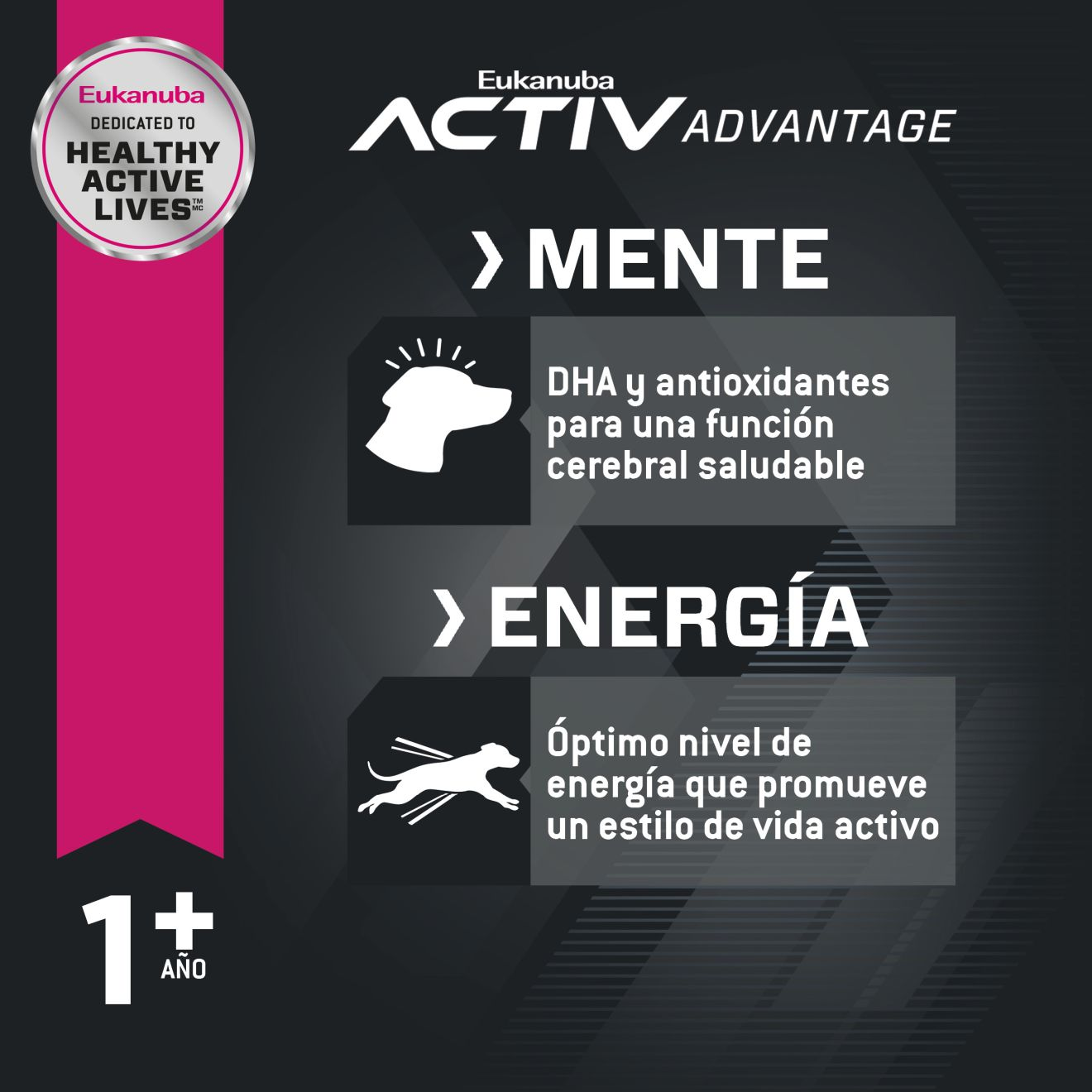 Eukanuba™  ADULT LARGE BREED