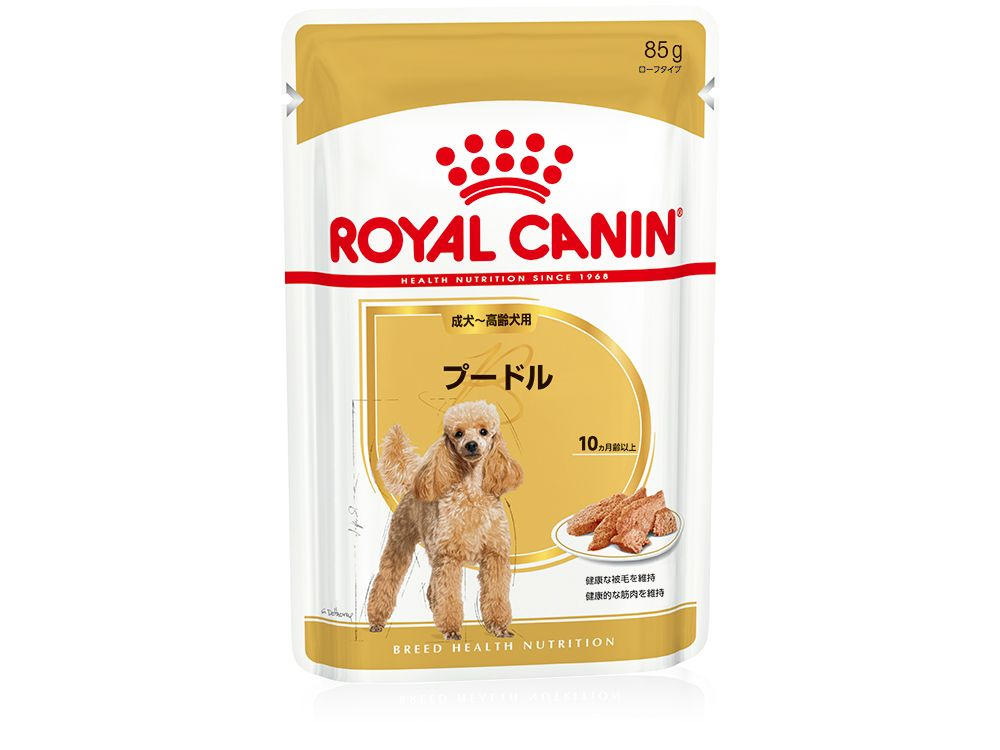 プードル ウェット 成犬～高齢犬用 | Royal Canin JP