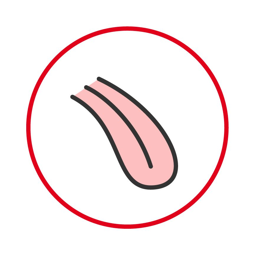 Dog tongue illustration