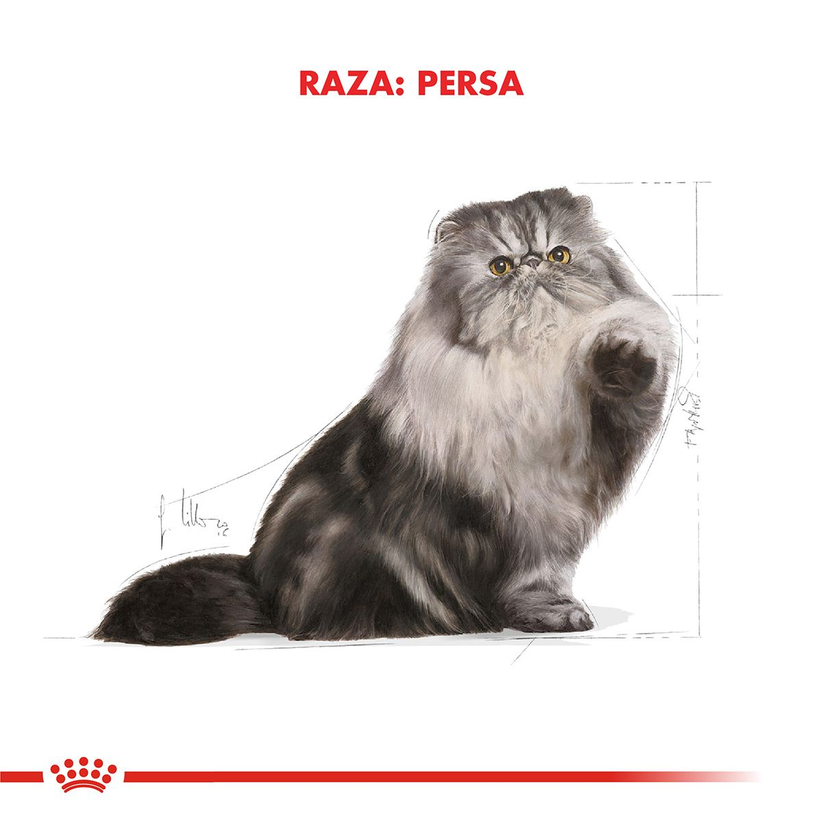 Persian