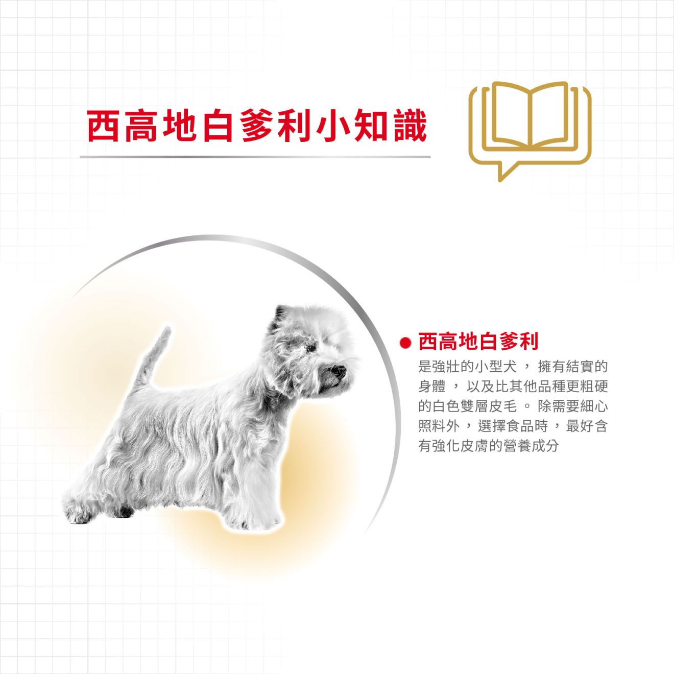 BHN 西高地白爹利成犬專屬配方