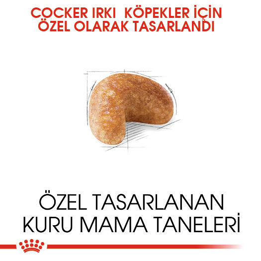 Cocker Adult Yetişkin Köpek Kuru Maması
