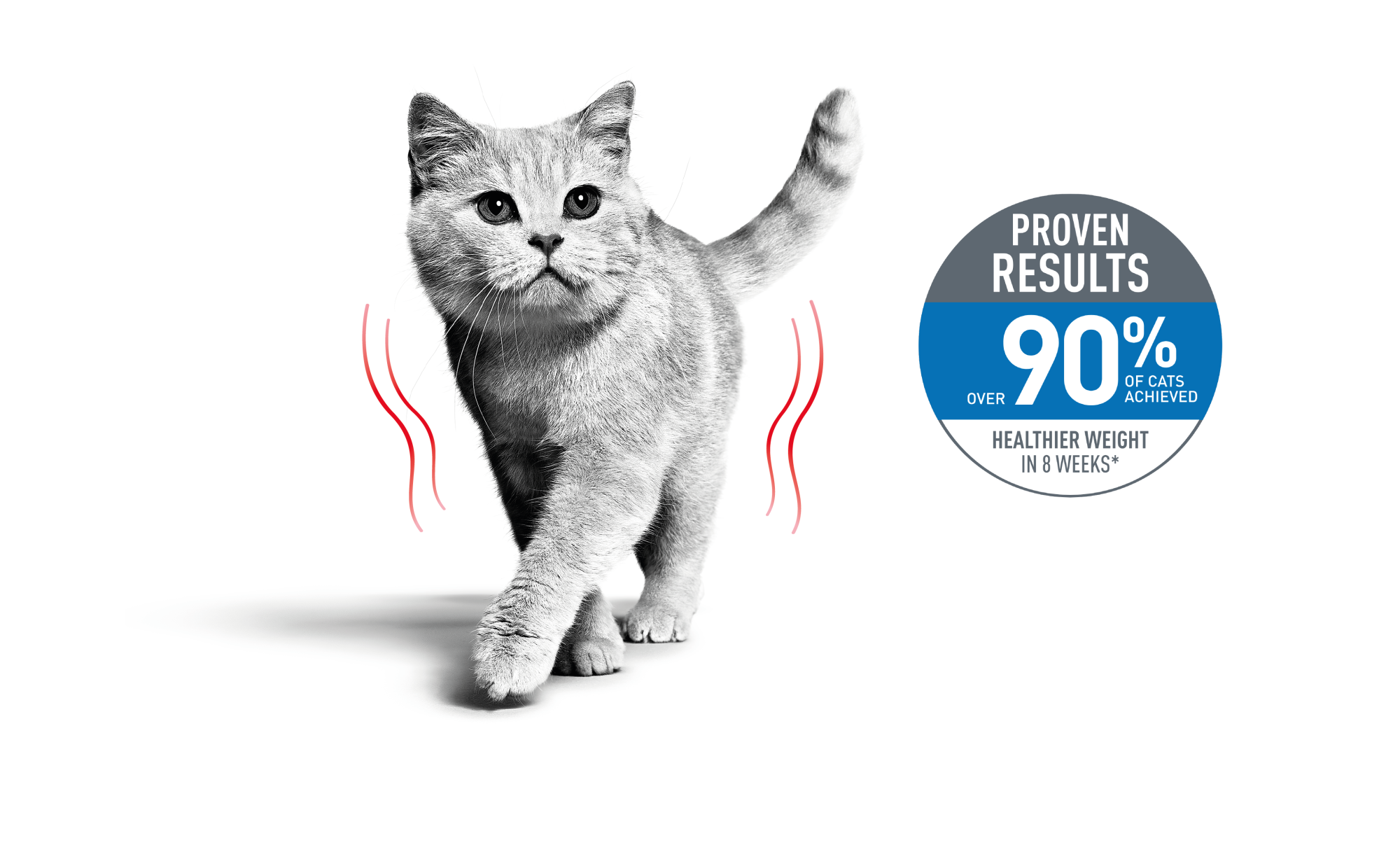 Emblematic of cat with weight sensitivity and associated proven results