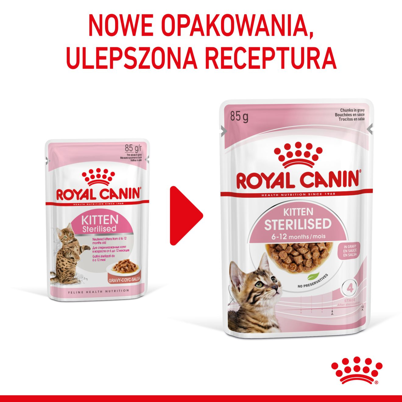 ROYAL CANIN Kitten Sterilised karma mokra w sosie dla kociąt do 12 miesiąca życia, sterylizowanych