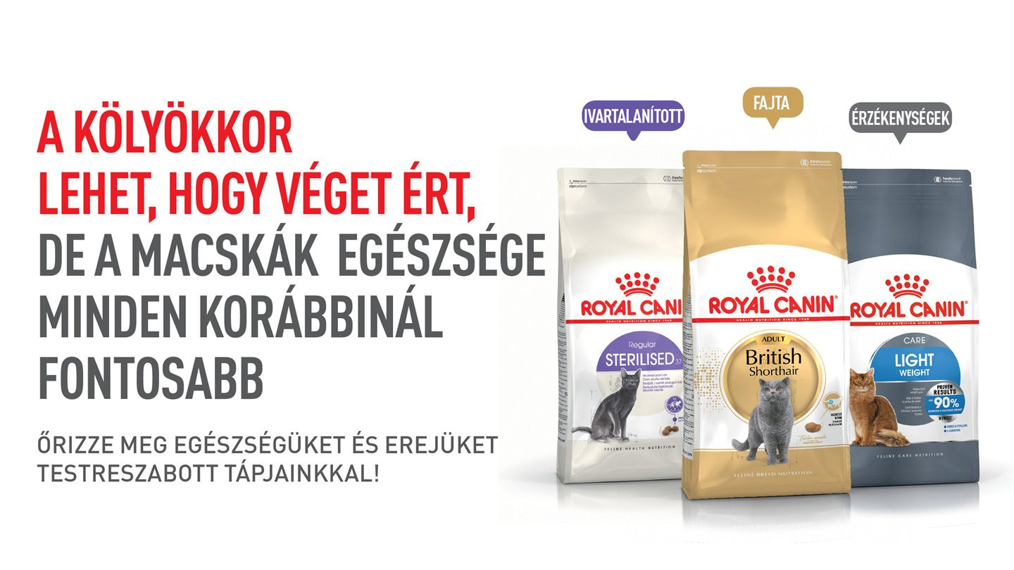 Mikor térjünk át a kölyökmacskával a felnőttnek való táplálékra 