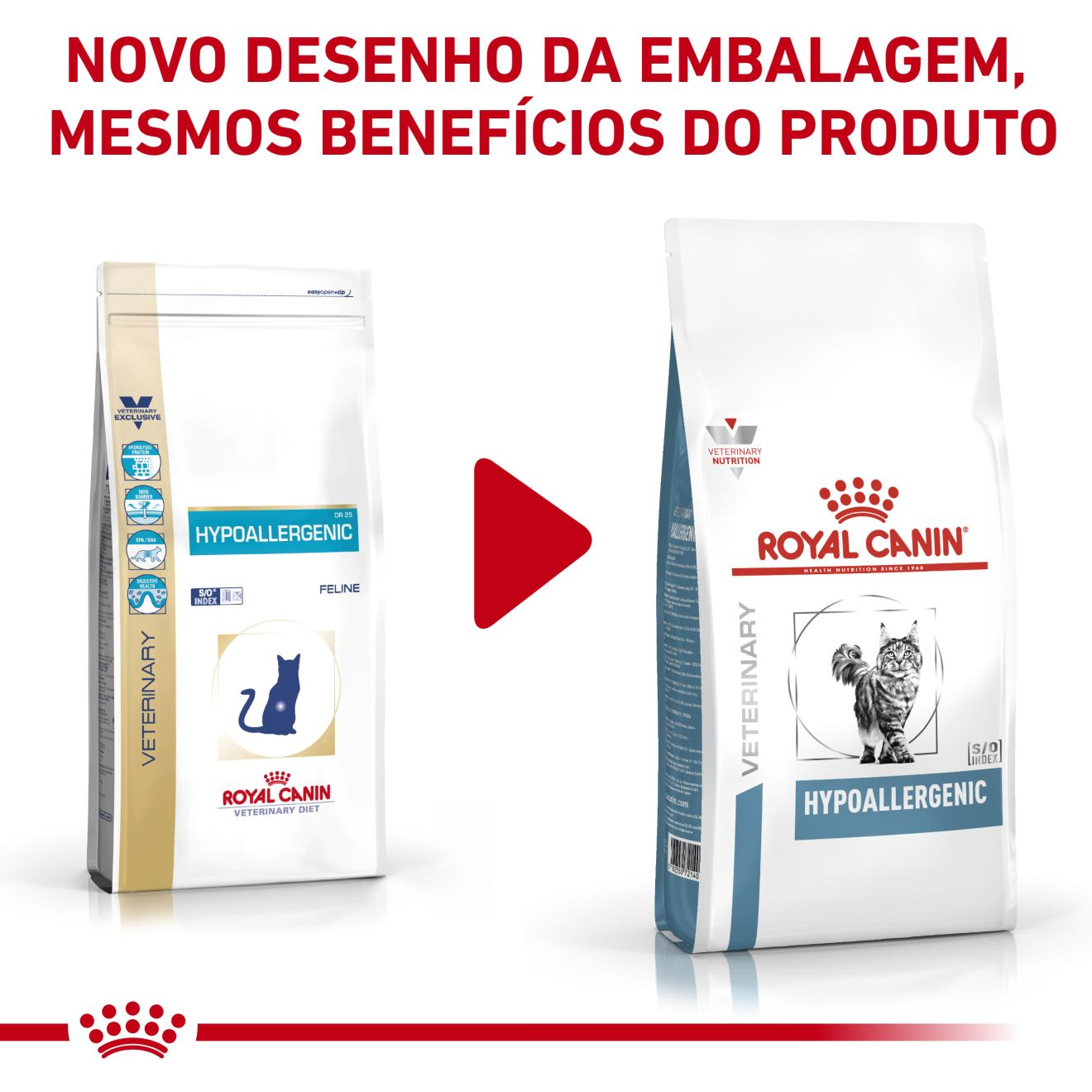 Cat Hypoallergenic