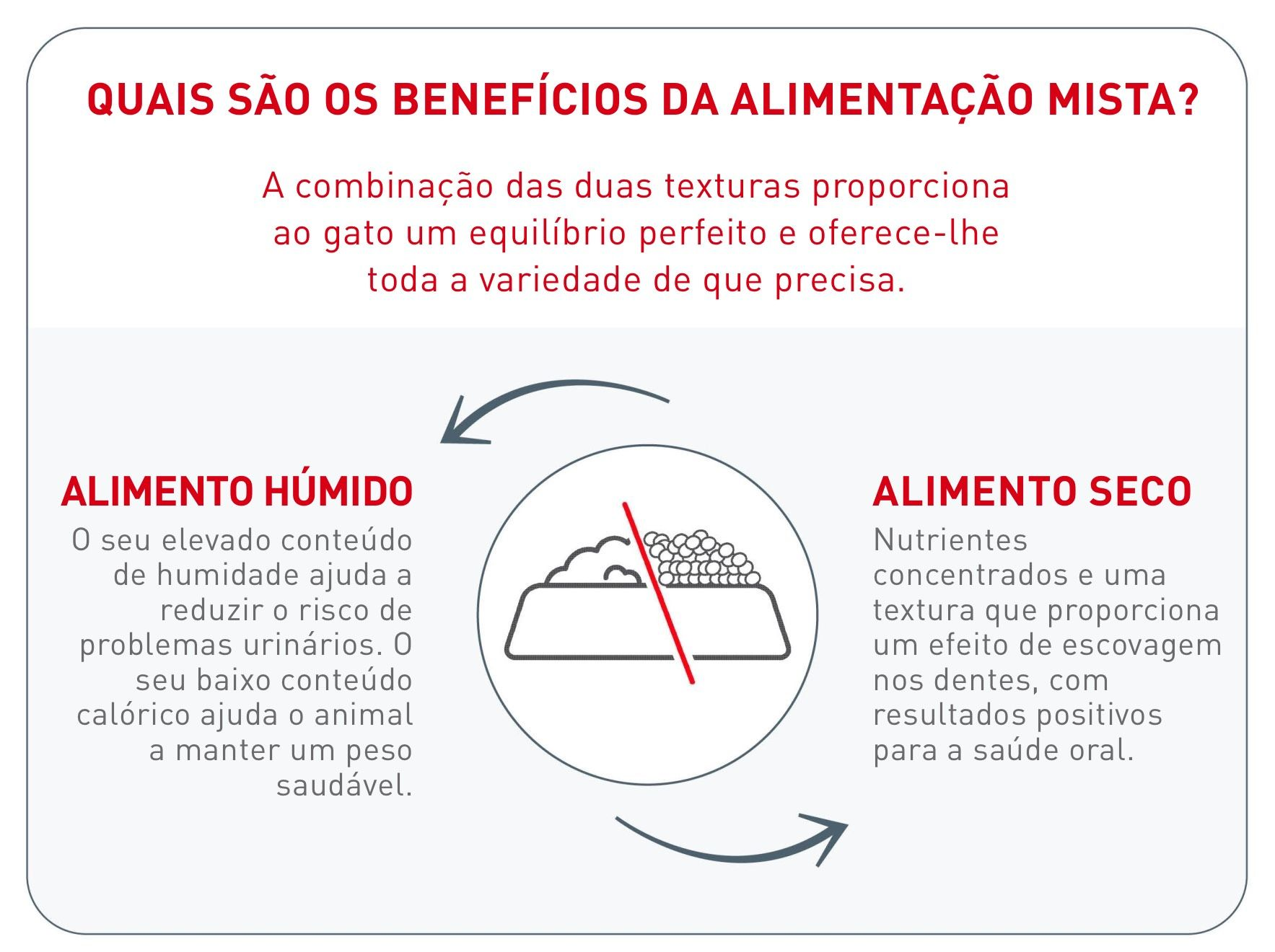 Key benefits of mix-feeding for cats