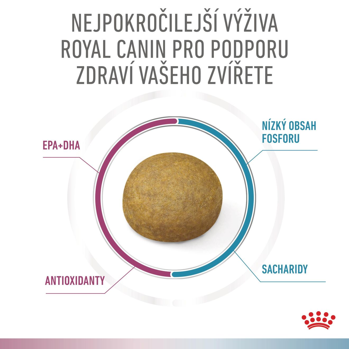 VHN Dog CA Renal-Hypoallergenic