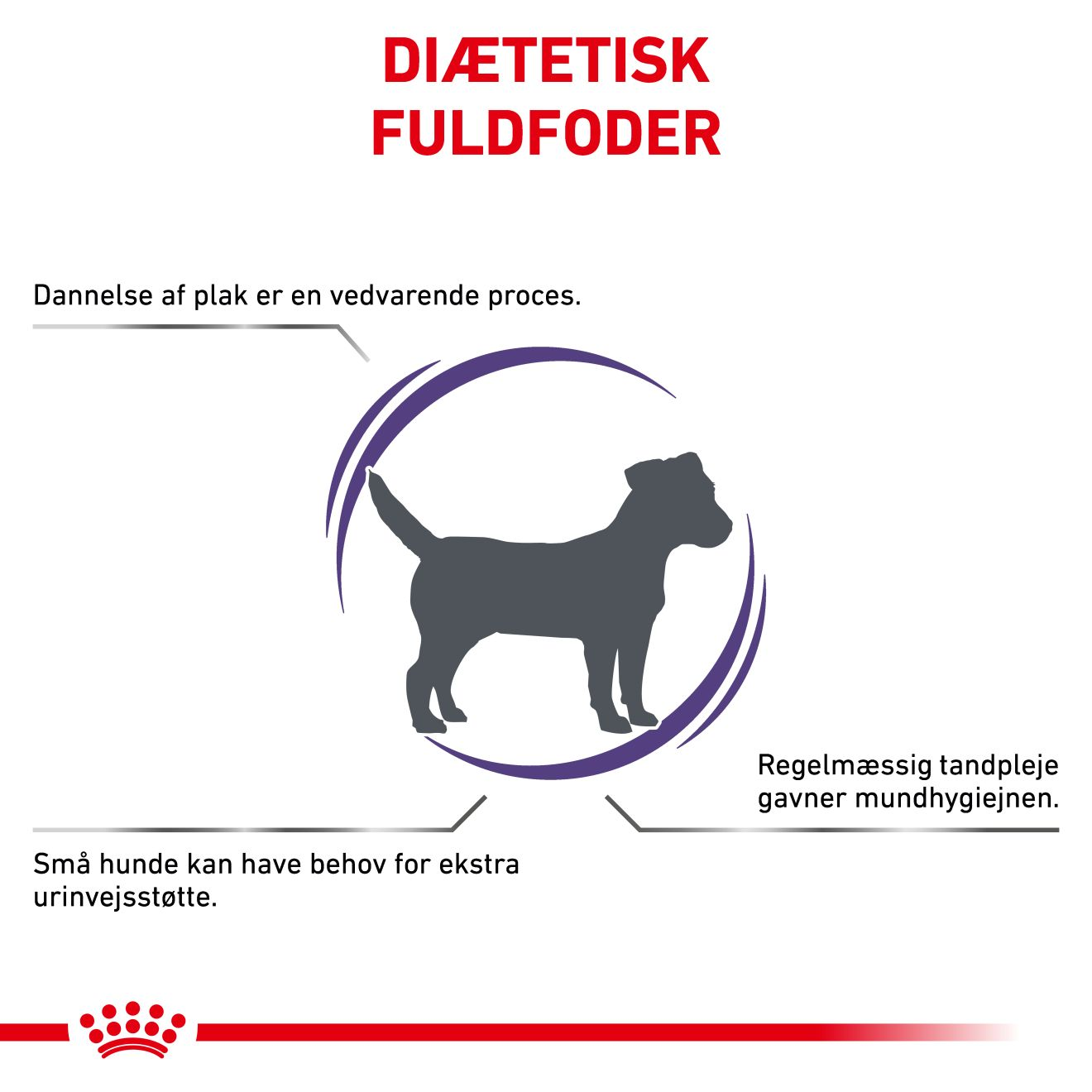 Health Dental Small Dog