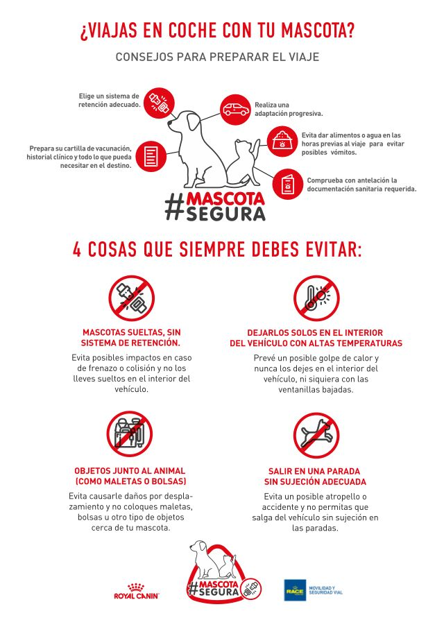 aplicaciones para preparar viajes con mascotas