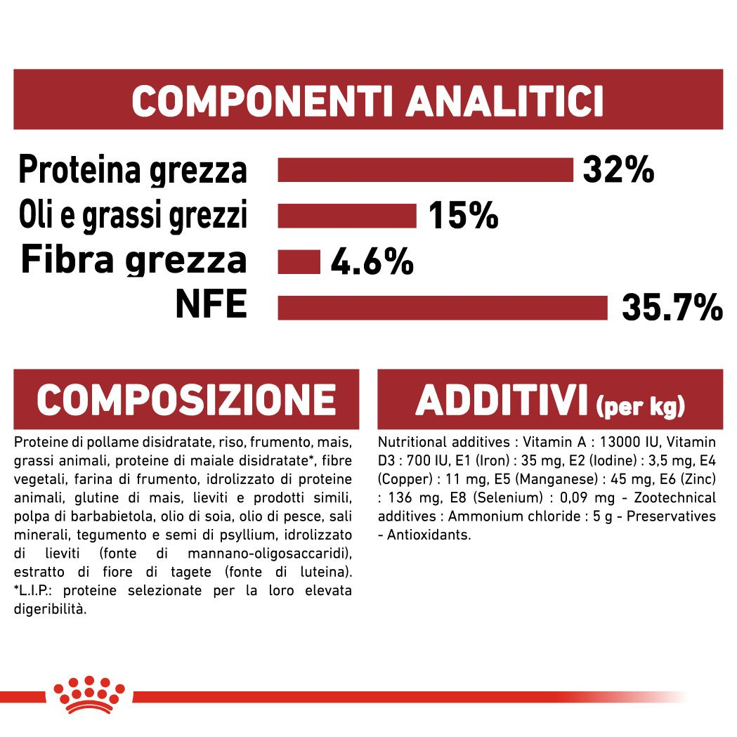 Fit 32 
