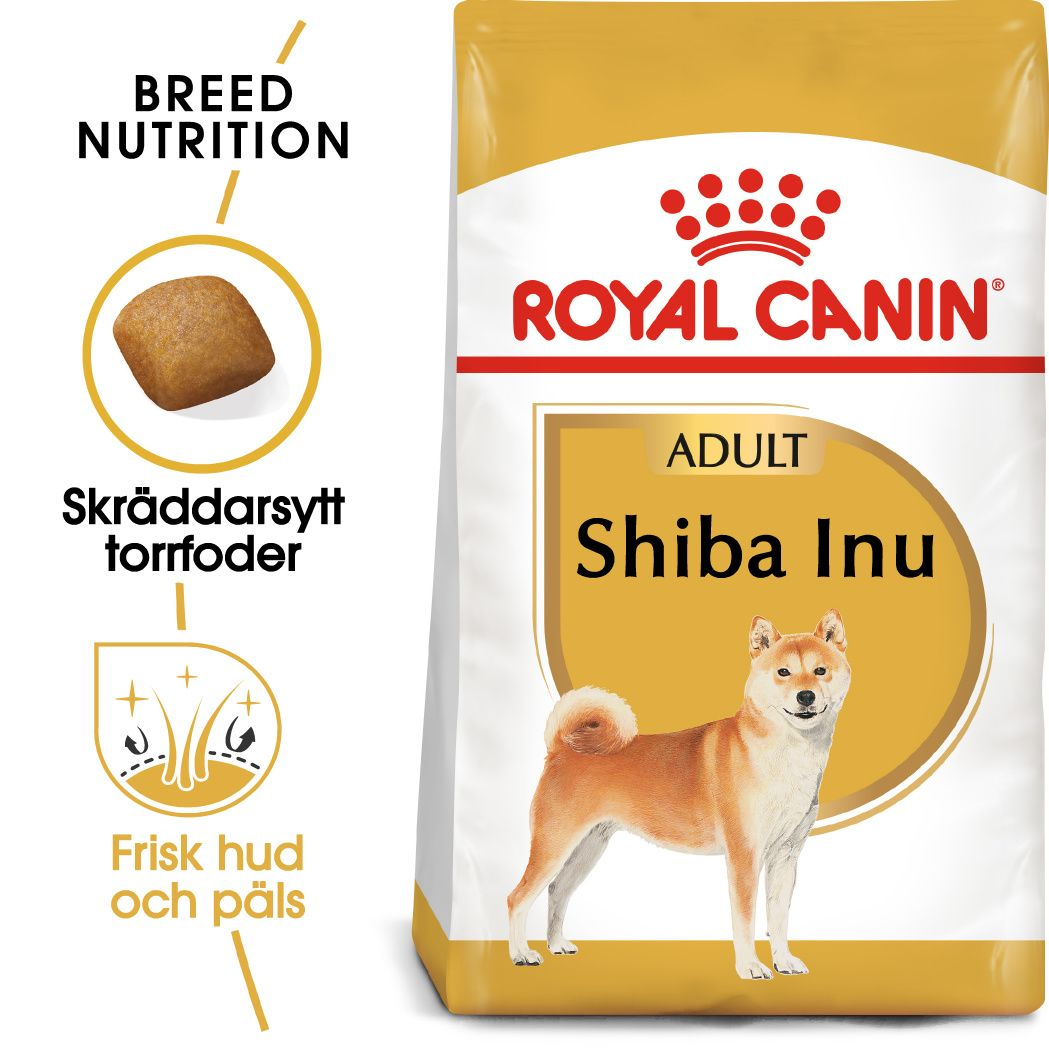 Shiba Inu Adult