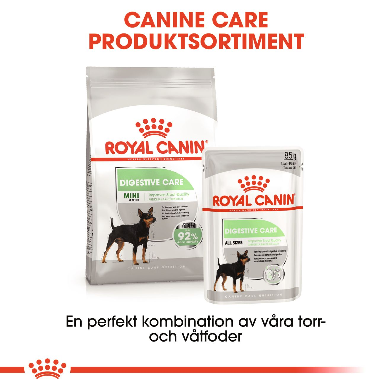 Mini Digestive Care