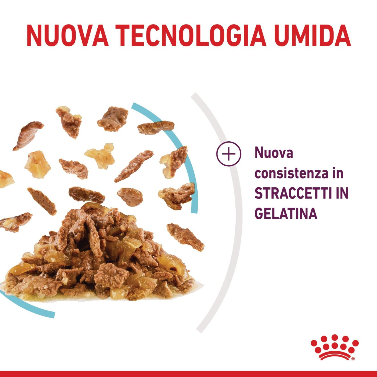 SENSORY™ FEEL straccetti in gelatina