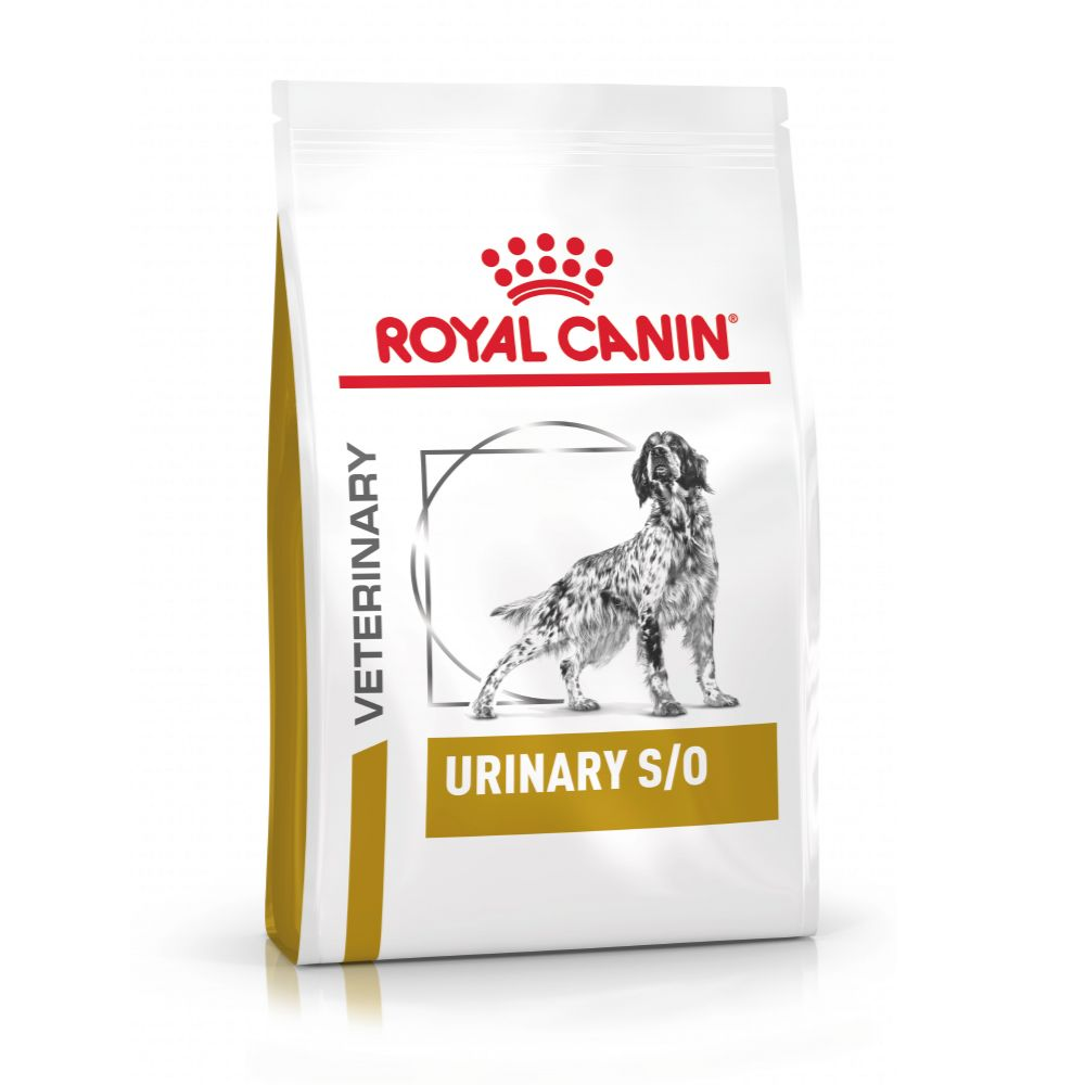 royal canin labradoodle food