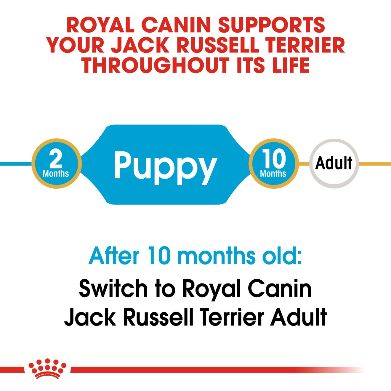 royal canin jack russell puppy