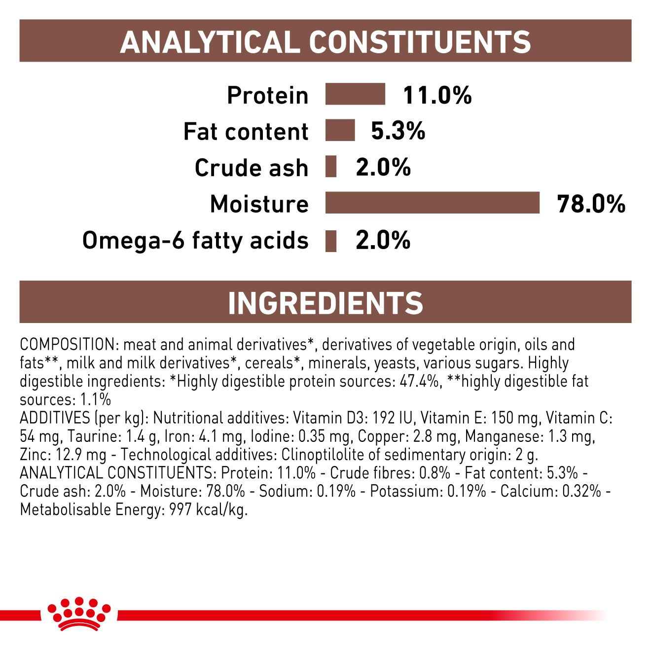 Gastrointestinal Kitten