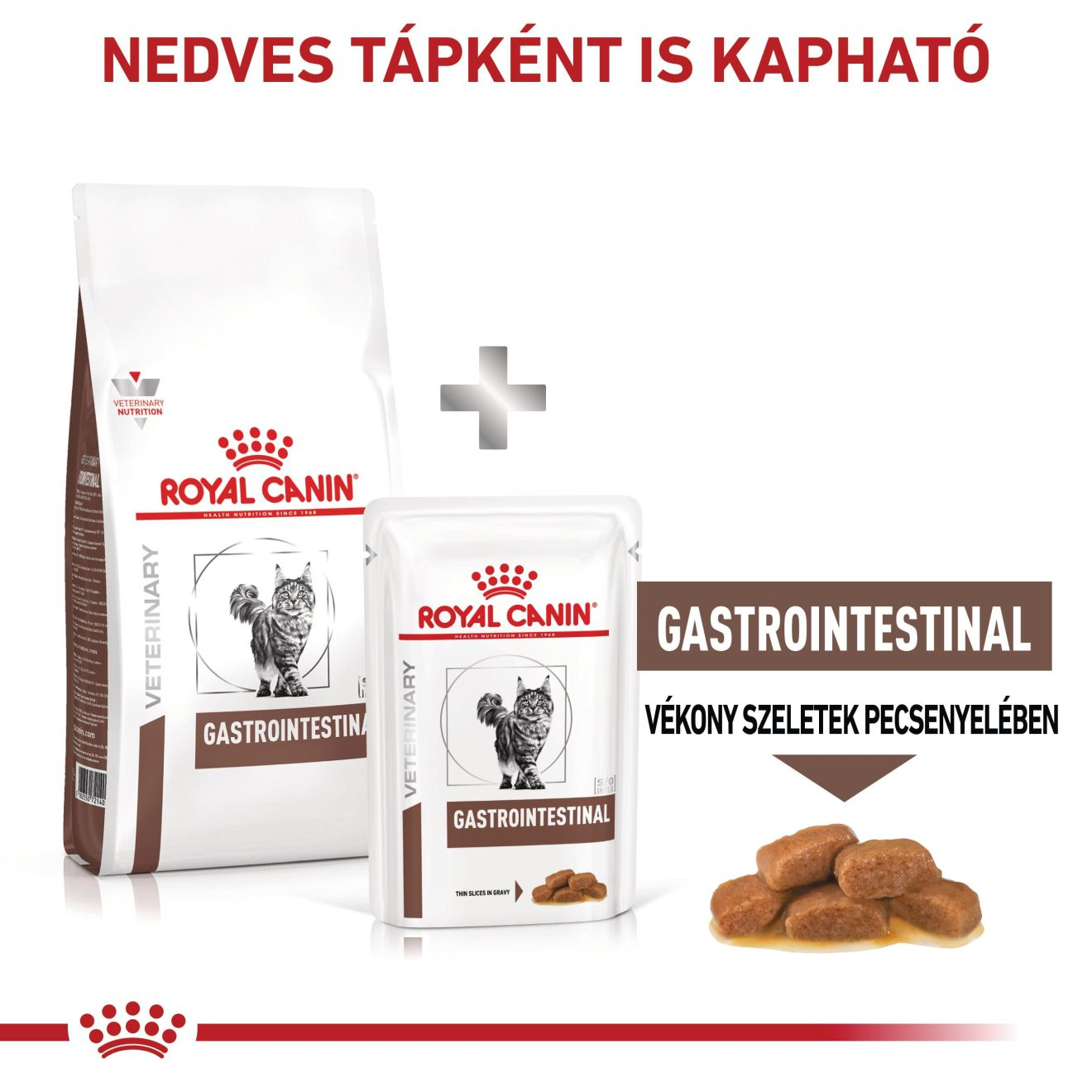 Gastrointestinal