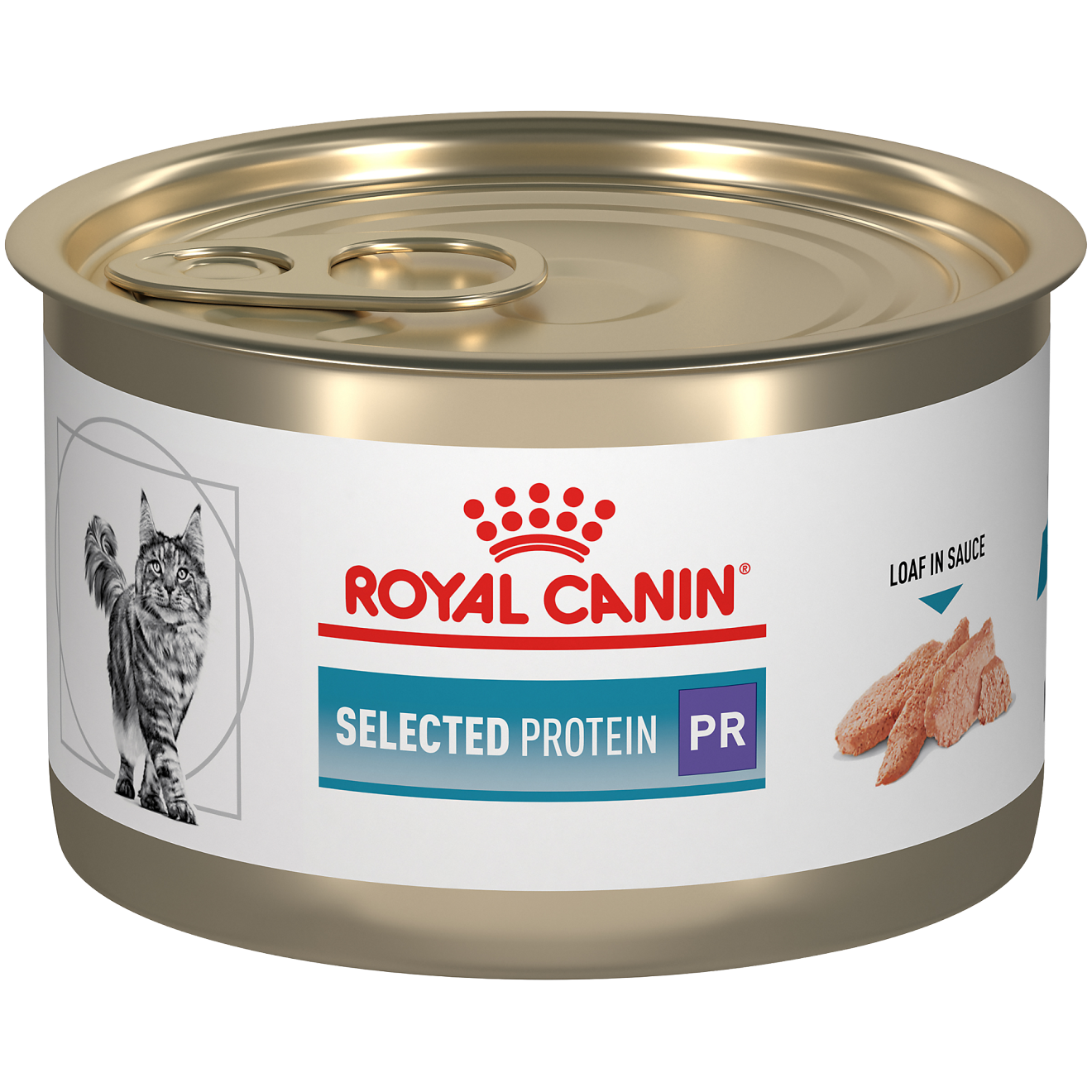 Feline Selected Protein PR Loaf In Sauce