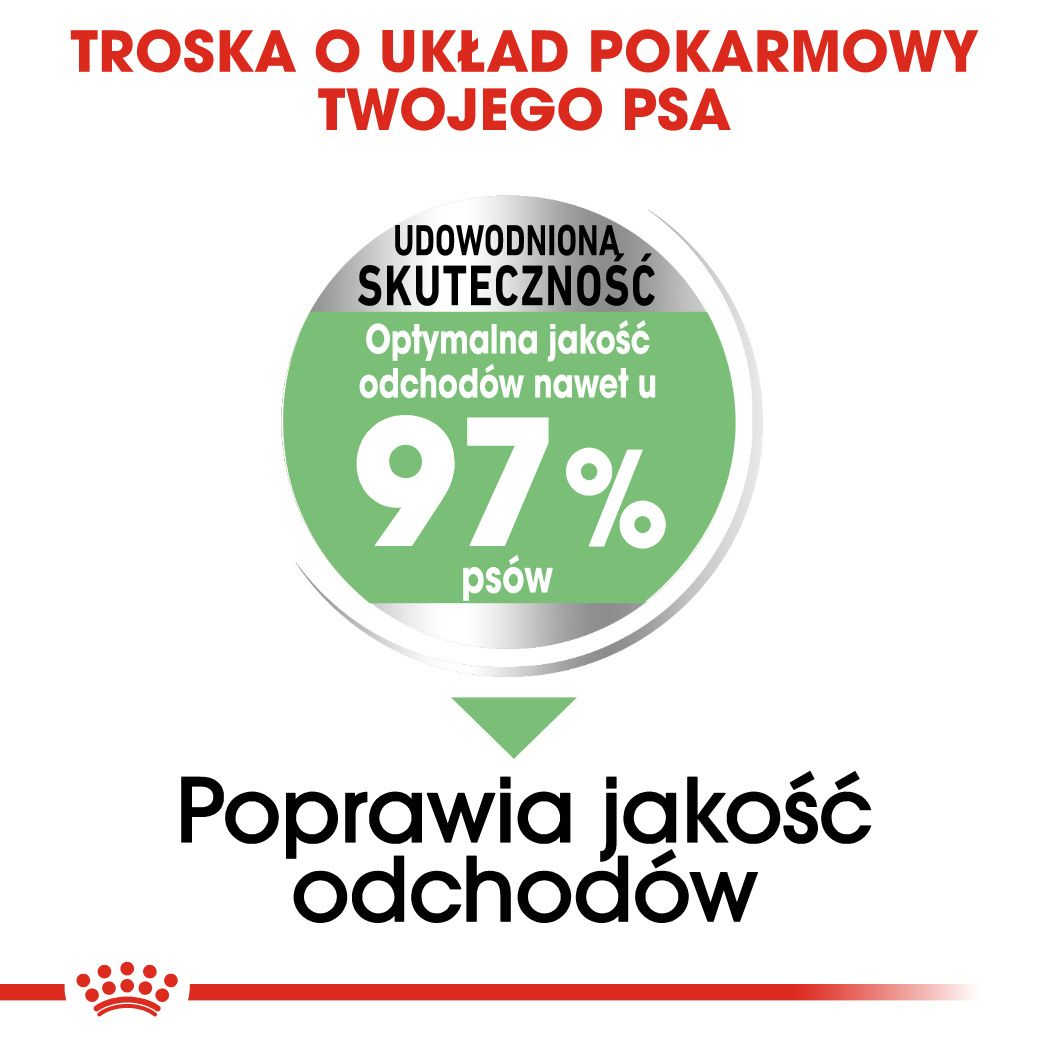 CCN Maxi Digestive Care