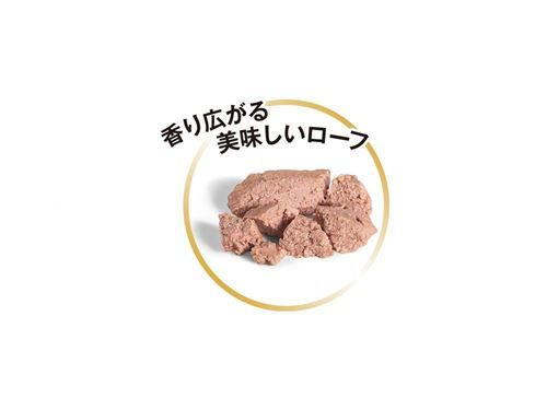  CANIN チワワ用ウェットフード36個【賞味期限2025.12月】 Amazon.co.jp: ロイヤルカナン チワワ 成犬・高齢犬用 85g (36袋
