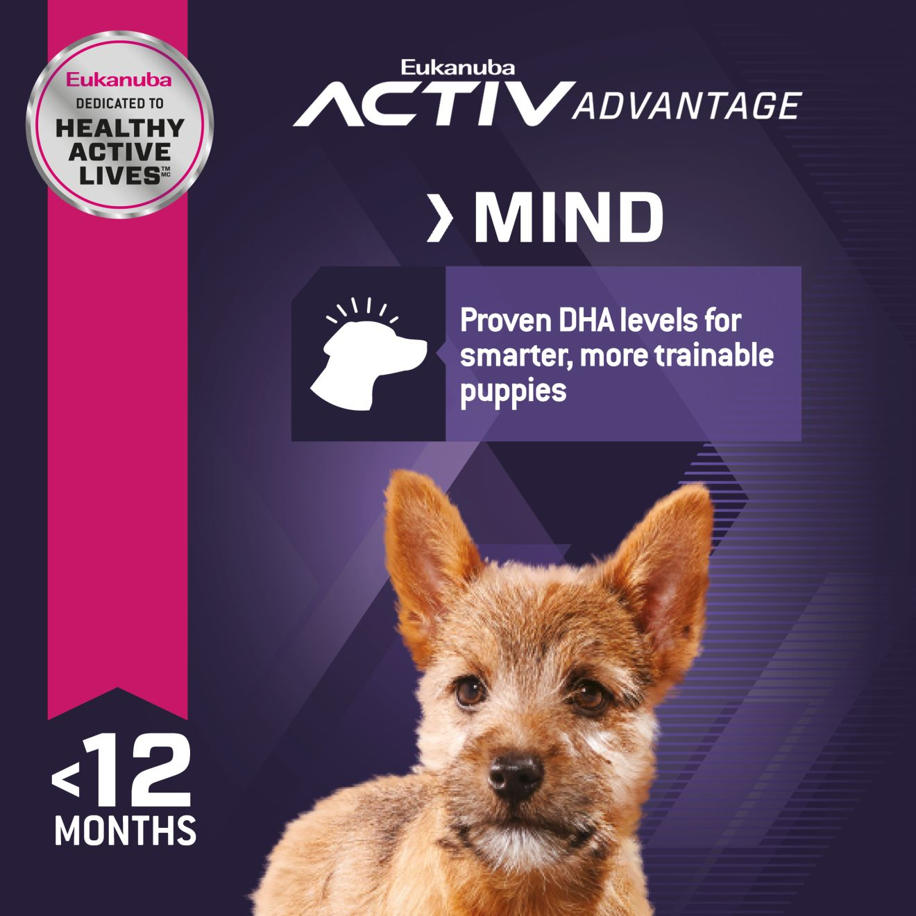 Eukanuba™ PUPPY SMALL BREED