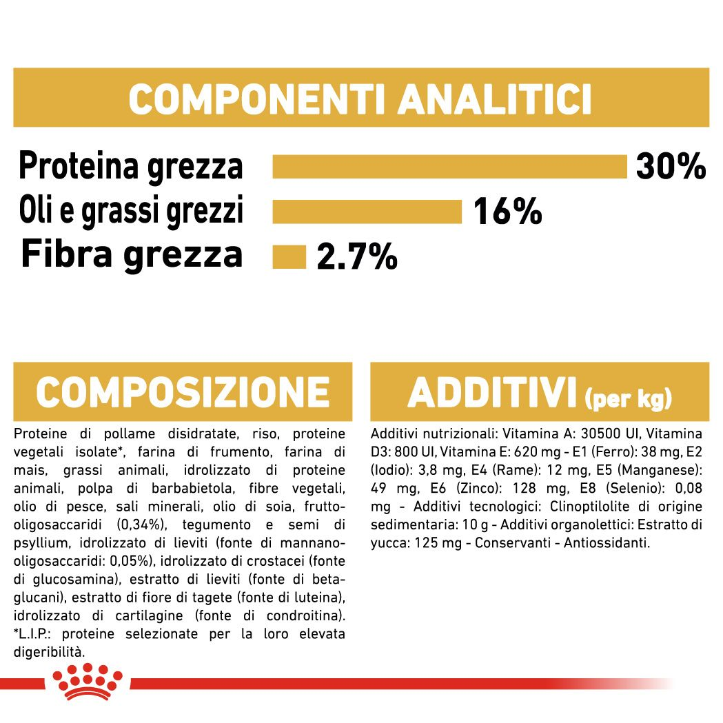 German Shepherd Puppy