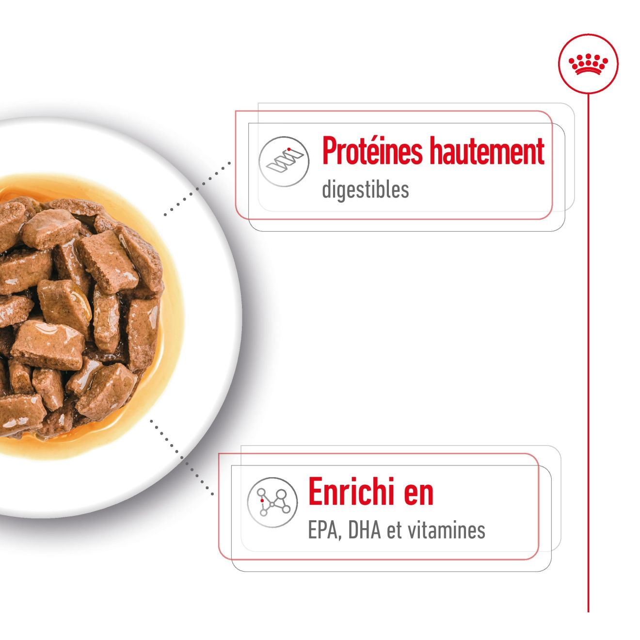 Maxi Ageing Gravy (émincés en sauce) 