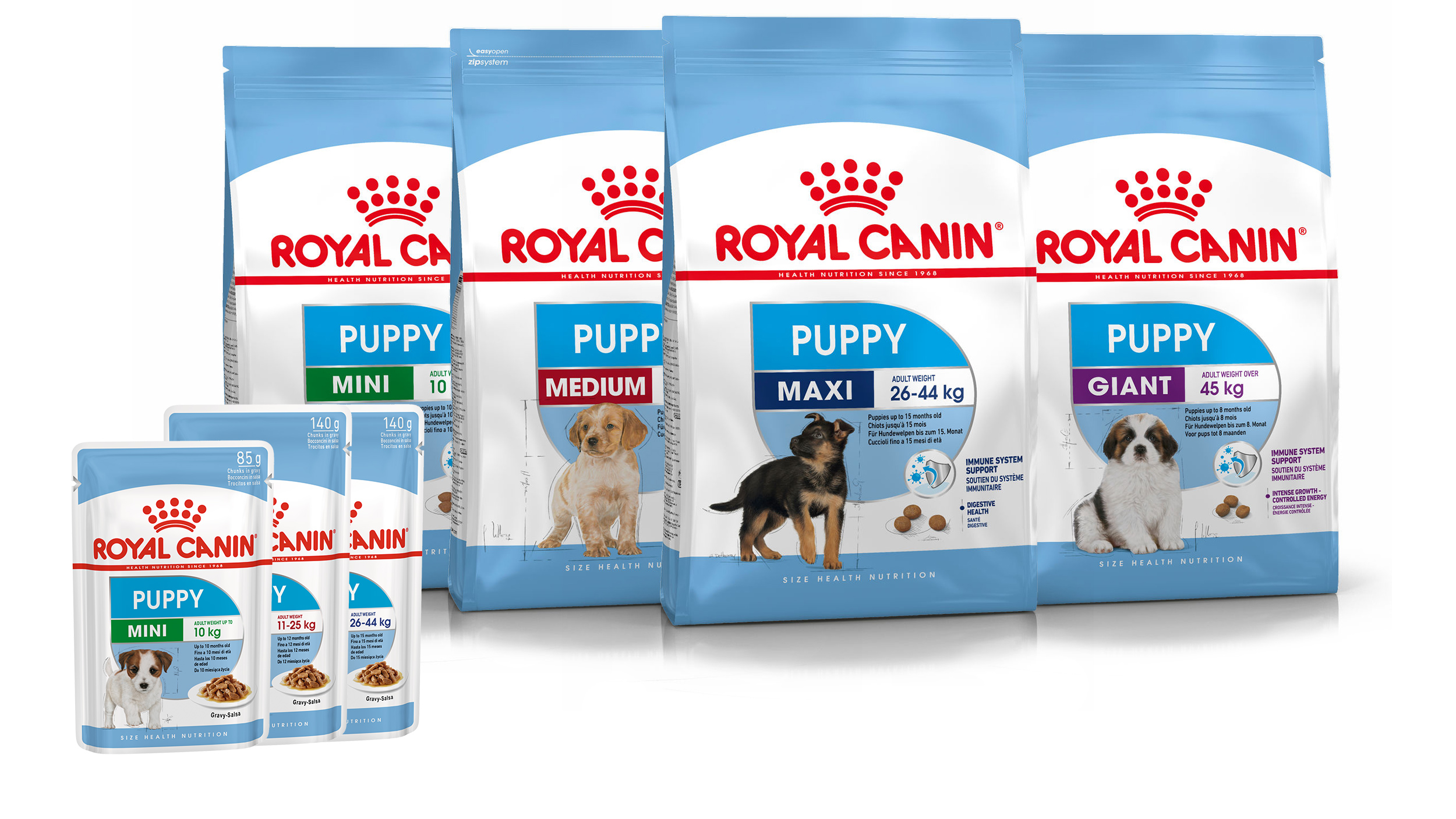 How much royal canin to feed my clearance puppy